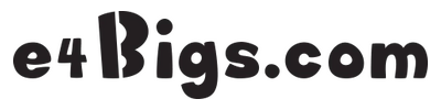 e4bigs.com Logo