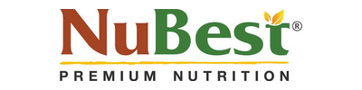 nubest.com
